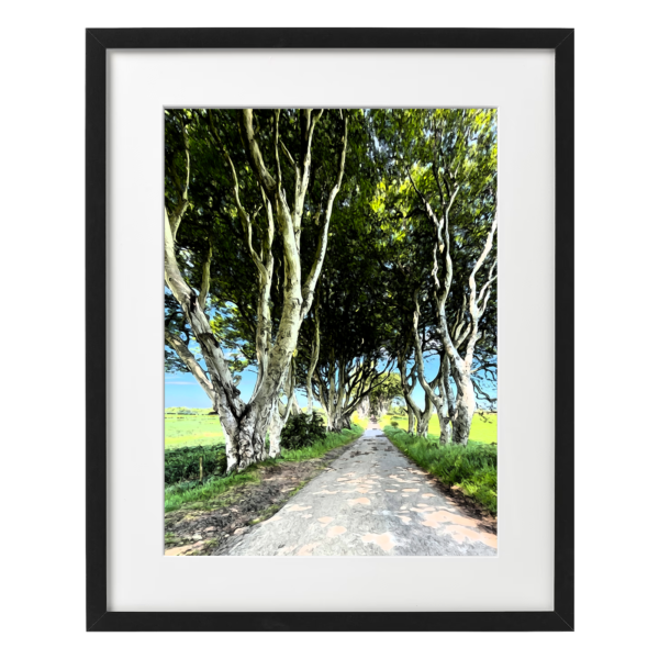 dark hedges picture frame