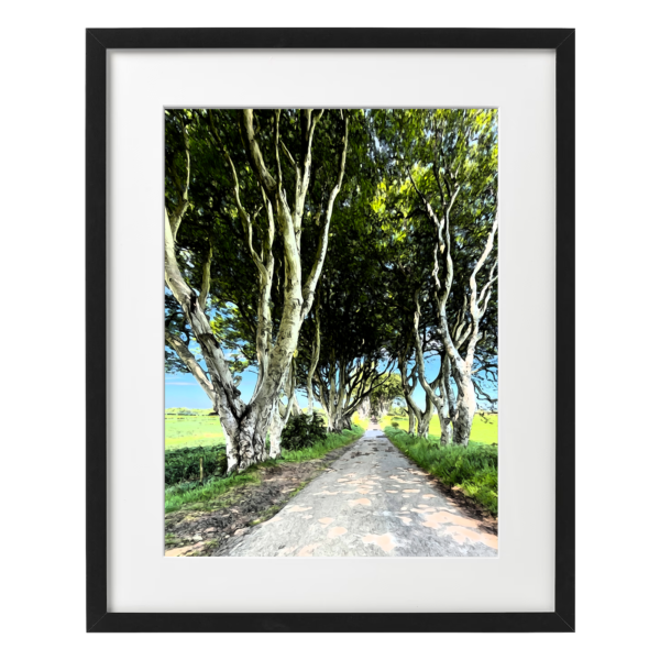 dark hedges picture frame