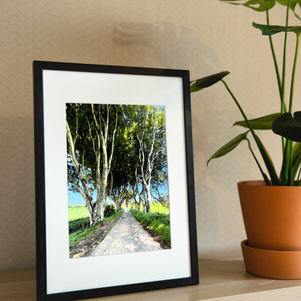 dark hedges picture frame