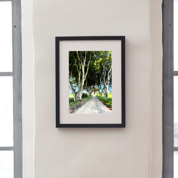 dark hedges picture frame