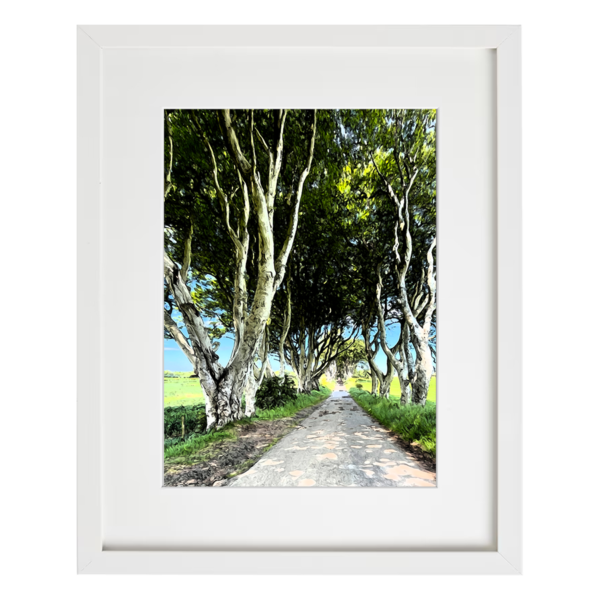 Dark Hedges In Summer Framed With White Mount - Image 2